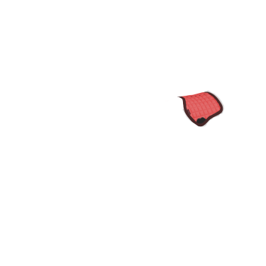 Tapis de selle LeMieux Toy Pony Cranberry Rose Tapis de selle LeMieux Toy Pony Cranberry Rose