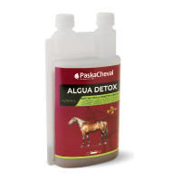 Algua Detox Paskacheval