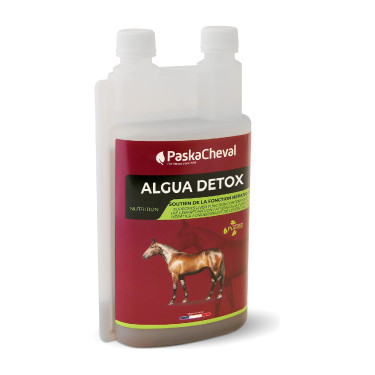 Algua Detox Paskacheval