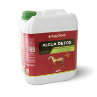 Algua Detox Paskacheval