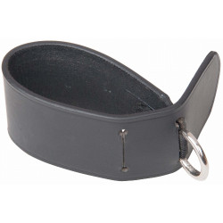 Fixation pour enrênements à la sangle T de T Noir