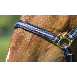 Licol nylon doublé cuir Norton Marine / ciel Bleu