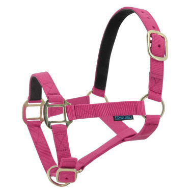 Licol nylon doublé cuir Norton Framboise Licol nylon doublé cuir Norton Framboise
