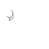 LeMieux Ropella halster Cranberry LeMieux Ropella halster Cranberry