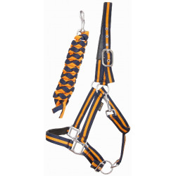 Licol doublé caoutchouc avec longe T de T
