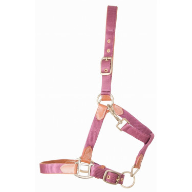 Licol en cuir et sangle T de T