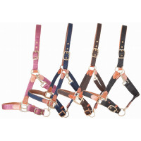 Licol en cuir et sangle T de T Bordeaux Licol en cuir et sangle T de T Bordeaux