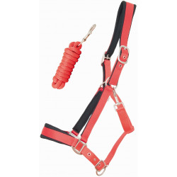 Licol satiné doublé avec longe ronde T de T Rouge Licol satiné doublé avec longe ronde T de T Rouge