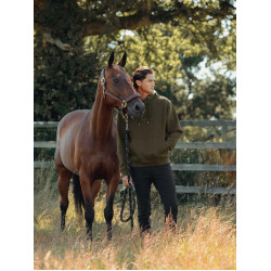 Sweat à capuche LeMieux homme Alpine Marron