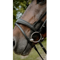 Bridon endurance Norton Pop Noir