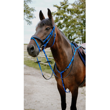 Endurancehoofdstel Norton Pop Koningsblauw