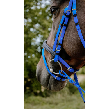 Bridon endurance Norton Pop Bleu roi