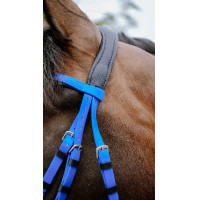 Endurancehoofdstel Norton Pop Roze