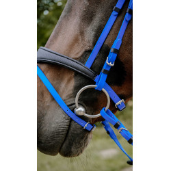Bridon endurance Norton Pop Bleu roi