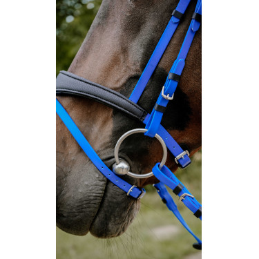 Bridon endurance Norton Pop Bleu roi