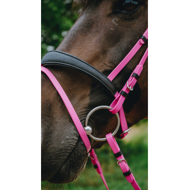 Endurancehoofdstel Norton Pop Roze