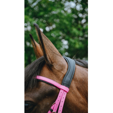 Endurancehoofdstel Norton Pop Roze