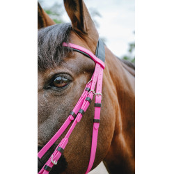 Endurancehoofdstel Norton Pop Roze