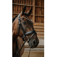 Trens Norton Diams Zwart