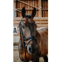 Bridon Norton Royal Noir Bridon Norton Royal Noir