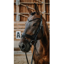 Norton Royal hoofdstel Zwart