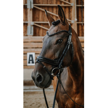 Norton Royal hoofdstel Zwart