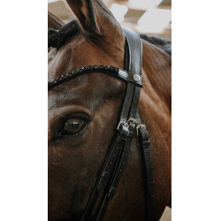 Bridon Norton Royal Noir Bridon Norton Royal Noir