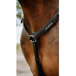 Collier de chasse Endurance Norton Pop