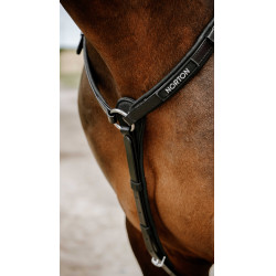 Collier de chasse Endurance Norton Pop Noir