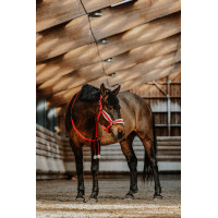Halster + touw Equithème Xmas Rood