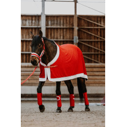 Licol + longe Equithème  Xmas Rouge