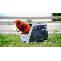 Mini-poney Jumpy Pony Academy Orange Mini-poney Jumpy Pony Academy Orange