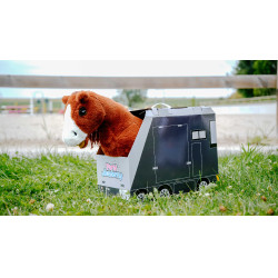 Mini-pony Jumpy Pony Academy Oranje