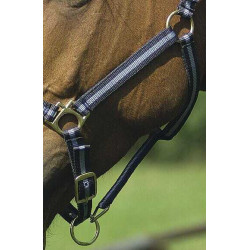 Licol nylon doublé cuir Norton Marine / ciel Bleu