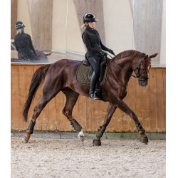 Tapis de selle Waldhausen Philadelphia Brun vert