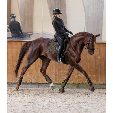 Tapis de selle Waldhausen Philadelphia Brun vert