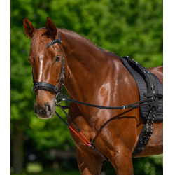Rênes triangulaire W-train Waldhausen Zwart