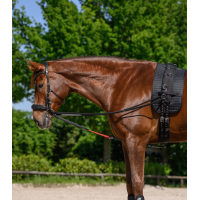 Rênes triangulaire W-train Waldhausen Zwart