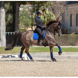 Tapis LeMieux dressage square - luxury bleu Benetton Tapis LeMieux dressage square - luxury bleu Benetton