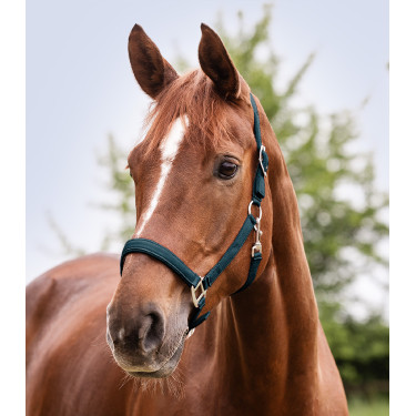 Licol Waldhausen Satin Bleu pétrole Licol Waldhausen Satin Bleu pétrole