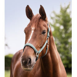 Licol Waldhausen Satin Bleu argenté