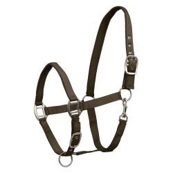 Licol Waldhausen Satin Brun vert Marron