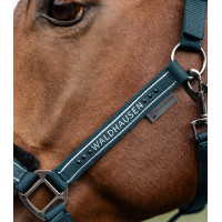 Licol Waldhausen Elegant Noir