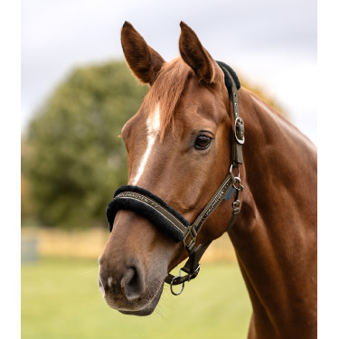 Licol Waldhausen Elegant Bruin groen