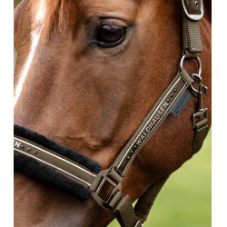 Licol Waldhausen Elegant Bruin groen