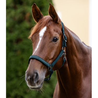 Licol Waldhausen Atheltic Petrolblauw Licol Waldhausen Atheltic Petrolblauw