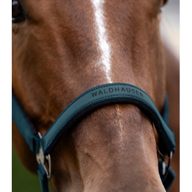 Licol Waldhausen Atheltic Petrolblauw Licol Waldhausen Atheltic Petrolblauw