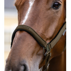 Licol Waldhausen Atheltic Brun vert Marron