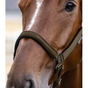 Licol Waldhausen Atheltic Brun vert Marron