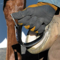 Bar & Sole Rasps Pro